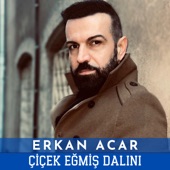 Çiçek Eğmiş Dalını artwork