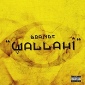 Wallahi artwork