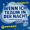 Wenn ich träum' in der Nacht (Böhmischer Traum) - Single