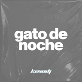 Gato de Noche (Remix) artwork