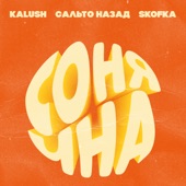 Сонячна (feat. Сальто Назад, Skofka) artwork