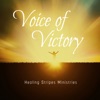 Voice of Victory (2021 Remastered version)