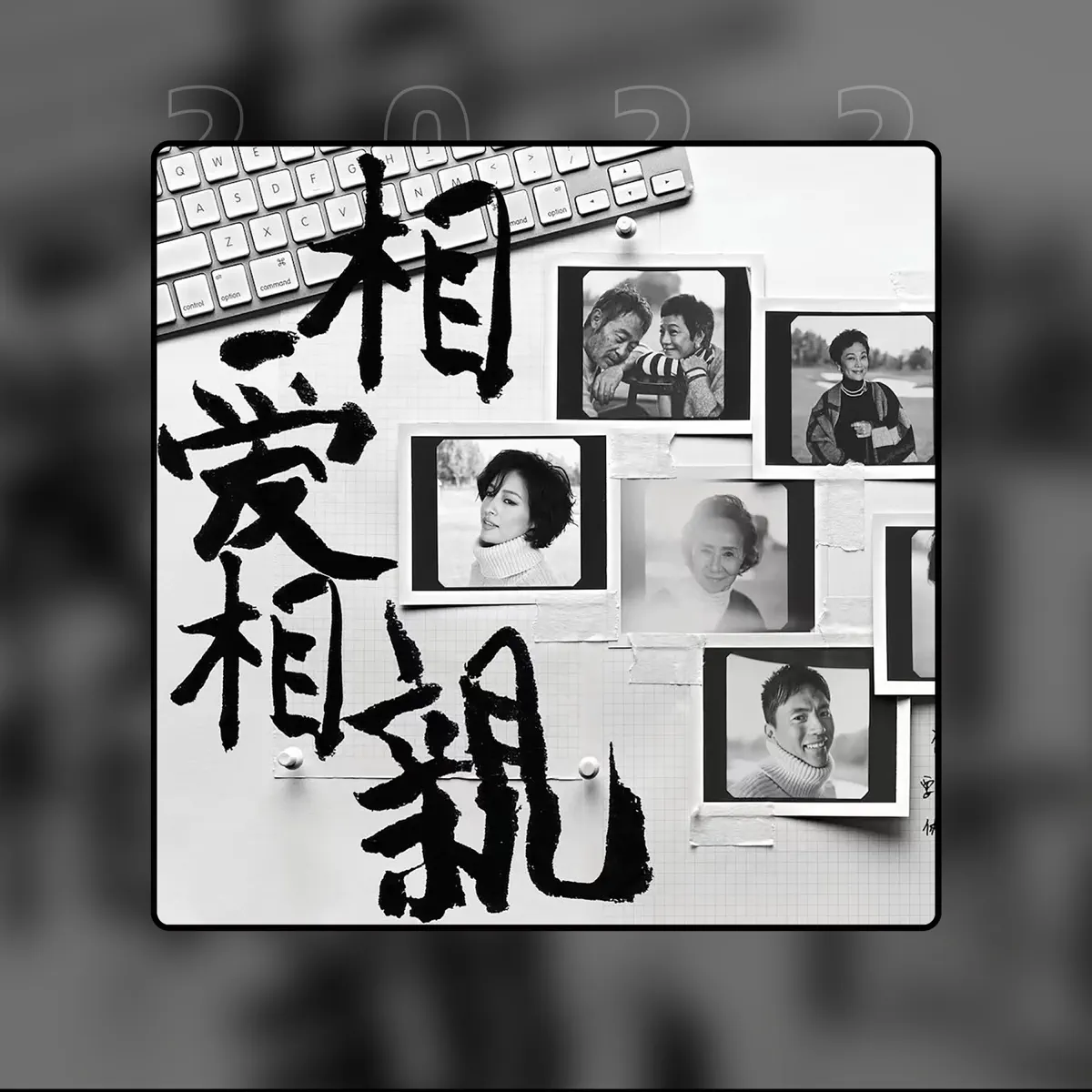 谭维维 - 陌上花开 (电影《相爱相亲》主题曲) - Single (2022) [iTunes Plus AAC M4A]-新房子
