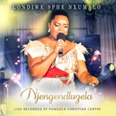 Njengendluzela (Live) artwork