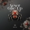 Never Give Up - Single