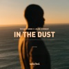 In the Dust - Single