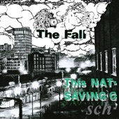 The Fall - Paintwork