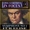 Beethoven: In Focus