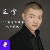 王宁2023抖音串烧车载DJ (Remix) artwork