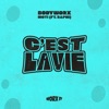 C'est La Vie (feat. Raphi) - Single