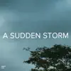 !!!" A Sudden Storm "!!! album lyrics, reviews, download