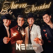 El Año Viejo artwork