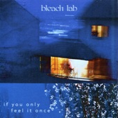 Bleach Lab - Take It Slow