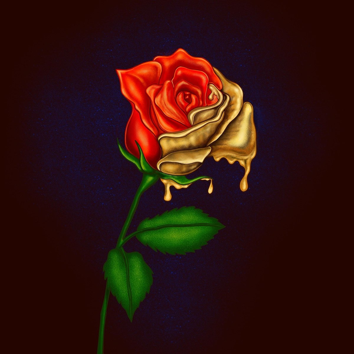 Роз design. Розы обложка. Roses Cover Art. Rose illustration.