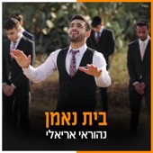 בית נאמן artwork