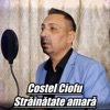 Strainatate amara - Single