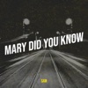 Mary Did You Know - Single