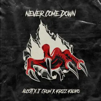 Never Come Down (feat. Krizz Kaliko) by Alcott & J. Crum song reviws