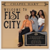 Welcome to Fist City artwork