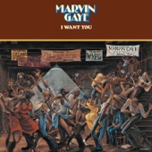 Marvin Gaye - After The Dance - Instrumental