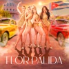 Flor Pálida - Single