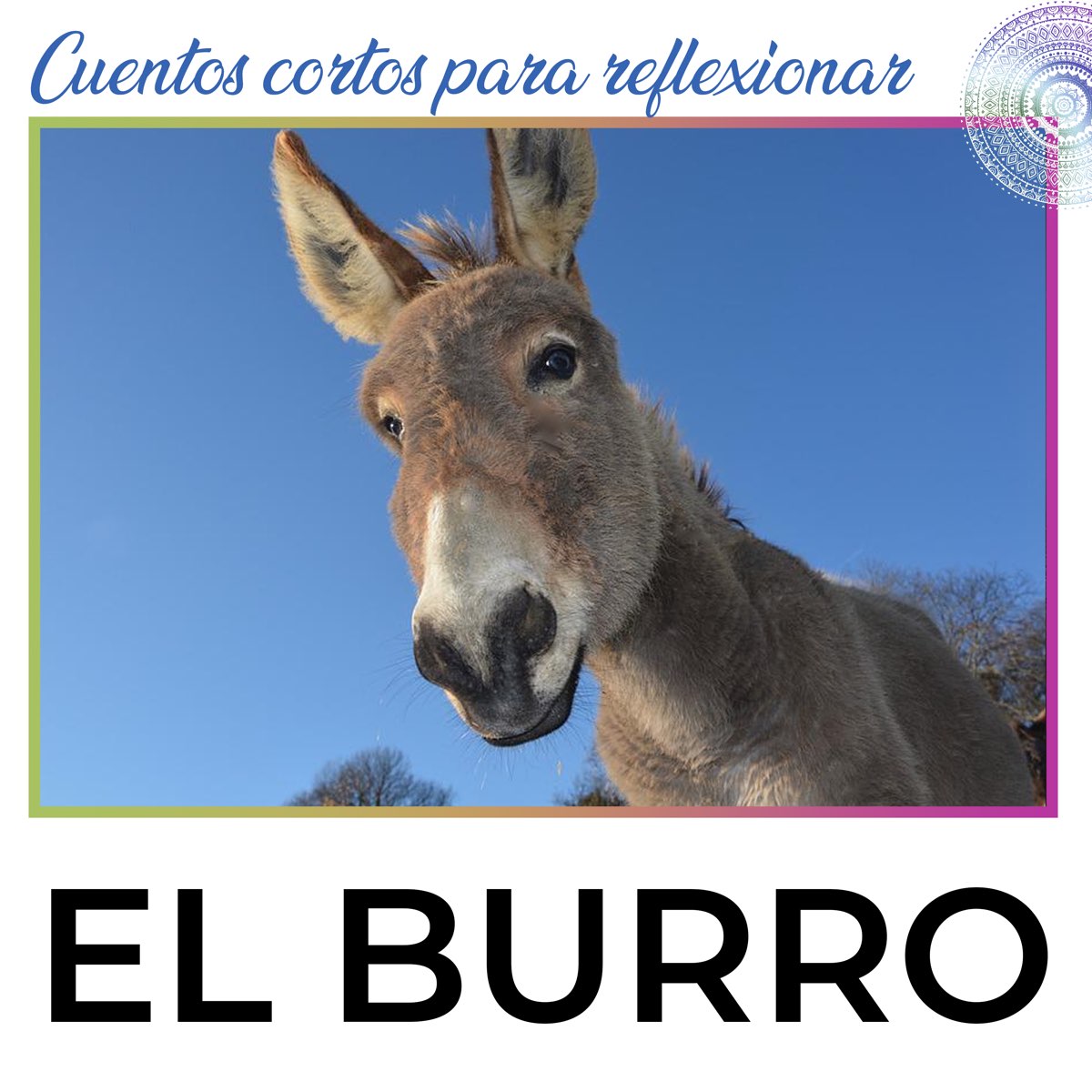 El Burro (Cuentos Cortos para Reflexionar) - Single par TU COSMOS sur Apple  Music