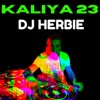 Kaliya 23 - Single