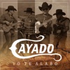 Yo Te Alabo - Single