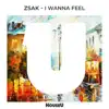 Stream & download I Wanna Feel - Single