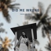 Did Me Wrong - Single