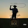 Country Black Boi - Single album lyrics, reviews, download
