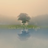 Look into Your Eyes - Single