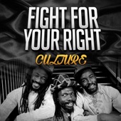 Fight for Your Right artwork
