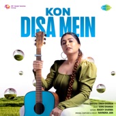 Kon Disa Mein artwork