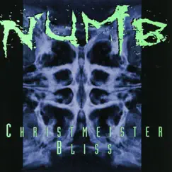 Christmeister by Numb album reviews, ratings, credits