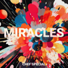 Miracles - Chef'Special