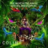 One Night In the Jungle (Special Disko Edition) artwork