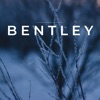 Bentley - Single