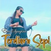 Terdiam Sepi - Single