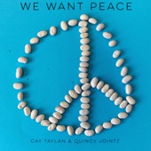 We Want Peace artwork