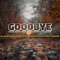 Goodbye (feat. fizzytoofab & Shadoh Vee) - Dj Phathu Young p lyrics