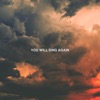 You Will Sing Again - Single