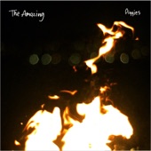 The Amazing - Last Stand