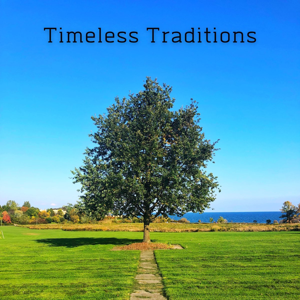 ‎Apple Music 上Ordinary Soul的专辑《Timeless Traditions》 