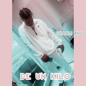 DE UN KILO artwork