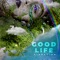 Good Life artwork