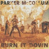 Burn It Down (Radio Edit) - Single, 2023