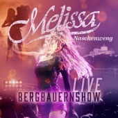 Bergbauernshow LIVE artwork