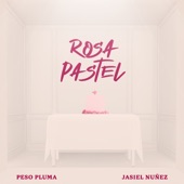 Rosa Pastel artwork