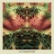 Blacksnake Blues - All Them Witches lyrics